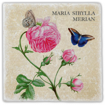0982 Marmorfliese "Merian"