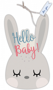 29214 Formkarte unser Finne "Hello Baby"