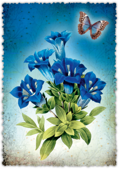 30033048 Grußkarte Romantique "Blumen"
