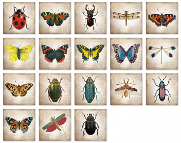 Memo „Vintage Beetles & Butterflys“